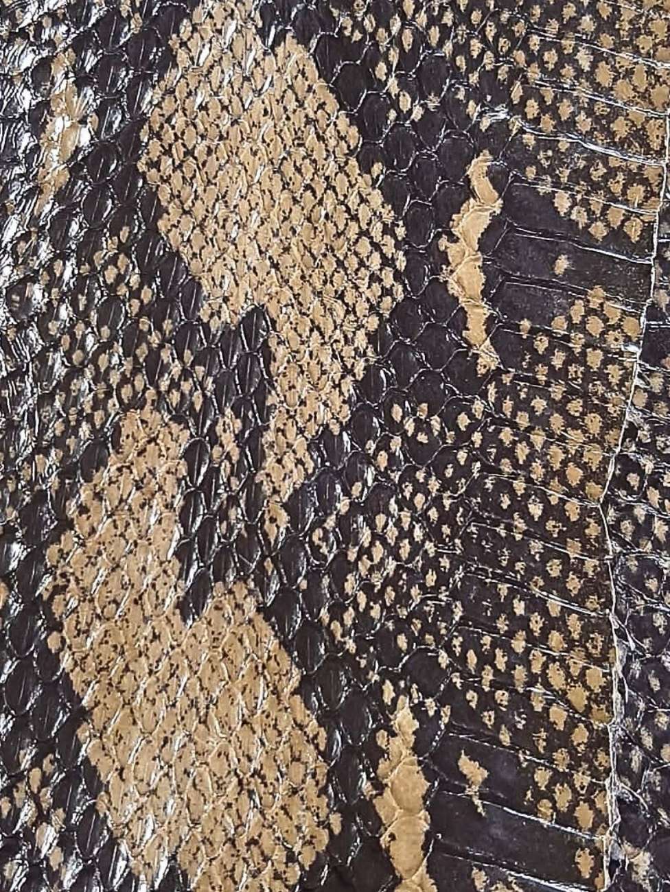 Water Snake Skins