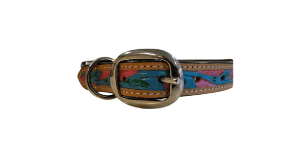 Dog Collars SE/DCB/03