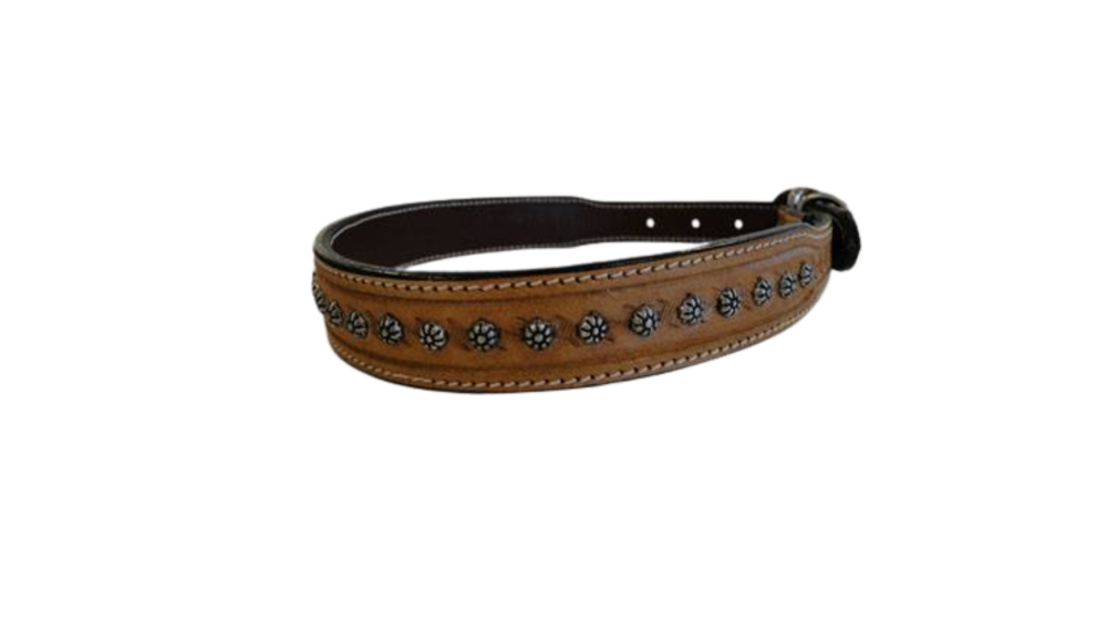 Dog Collars SE/DCB/02