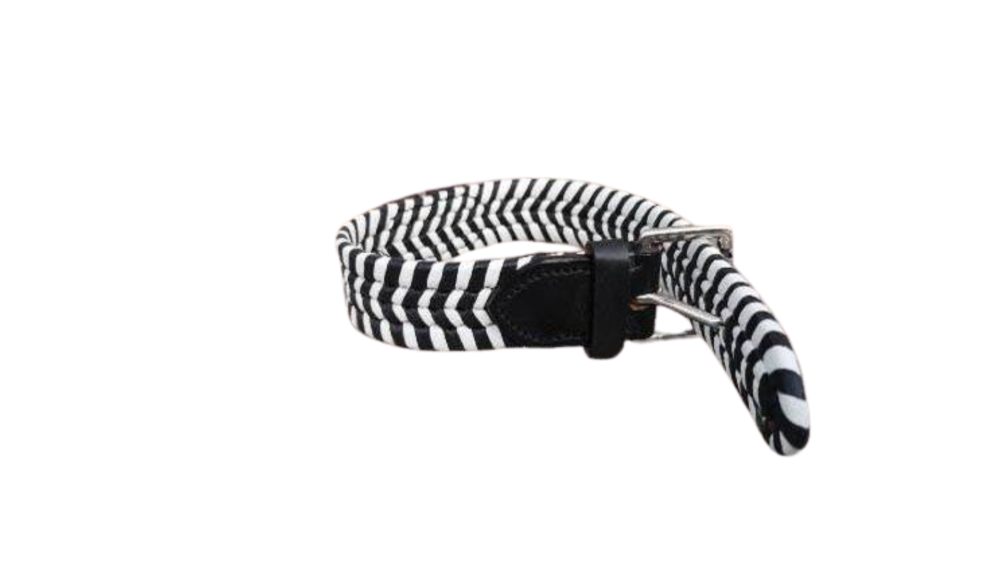 Dog Collars SE/DCB/22