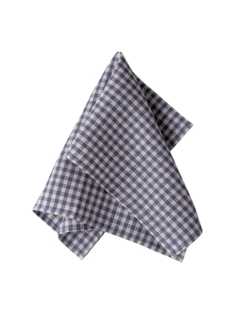Blue Checkered Towel