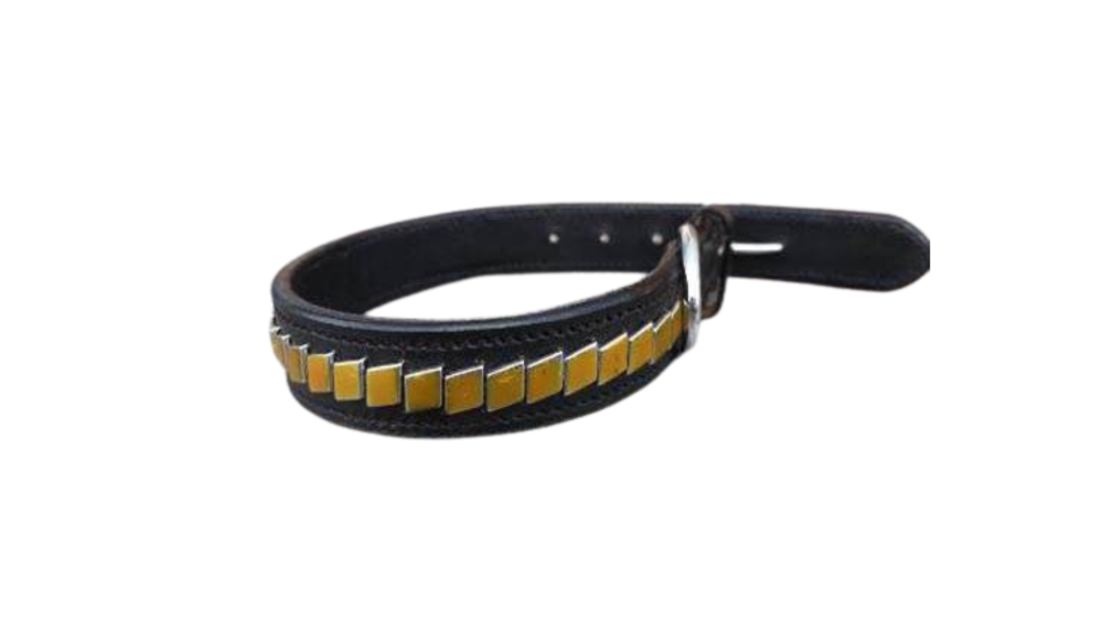 Dog Collars SE/DCB/30
