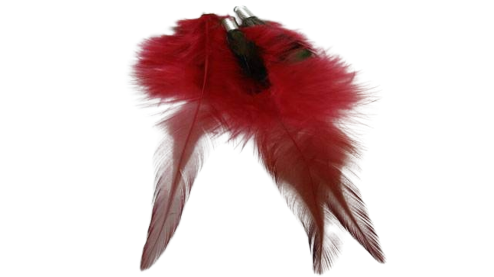 Feathers with Hooks-style 1 - colour 5