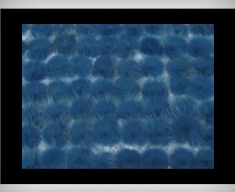 Mink Pom Pom Bermuda-Blue