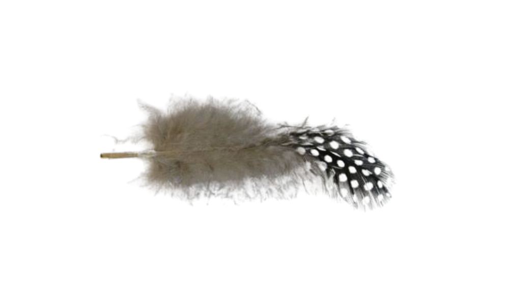 Feather-FR-02