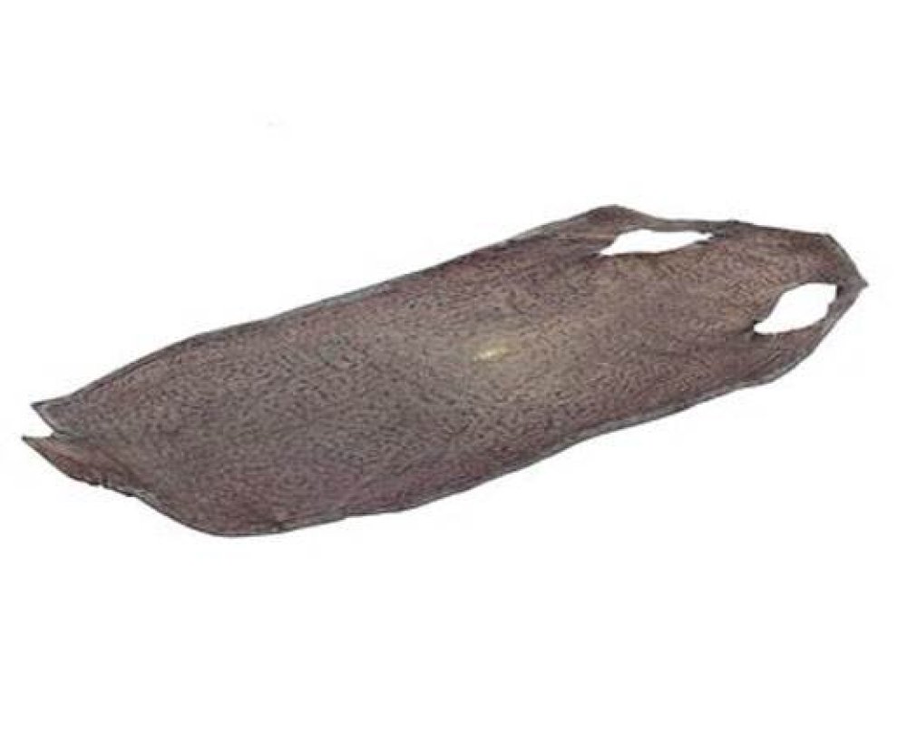stingray-whole-skin-polished-ca54-x-22-cm