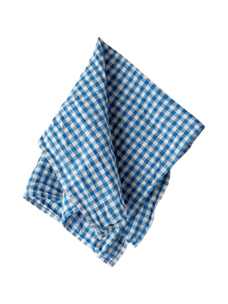 Blue Checkered Kitchen Towel