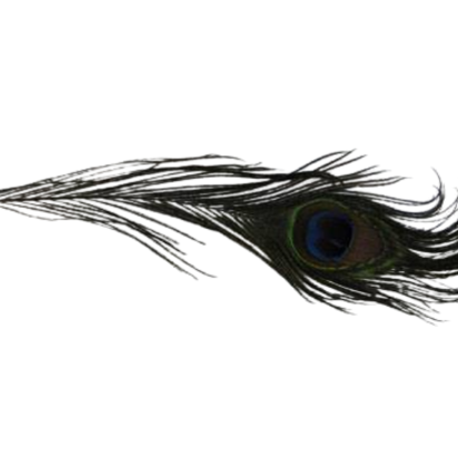 Feather-FR-06