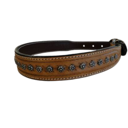 Dog Collars SE/DCB/02