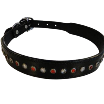 Dog Collars SE/DCB/08