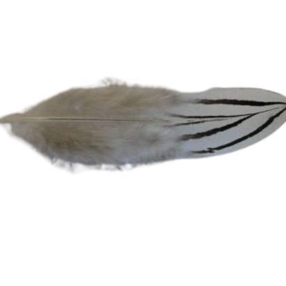 Feather-FR-07