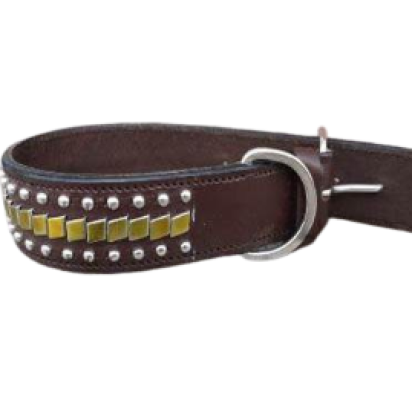 Dog Collars SE/DCB/33