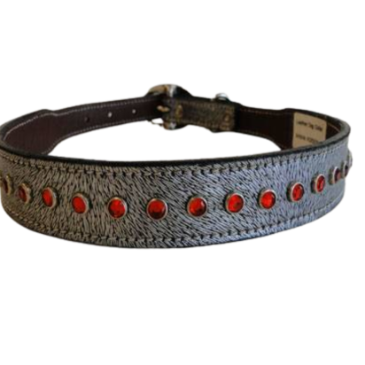 Dog Collars SE/DCB/13