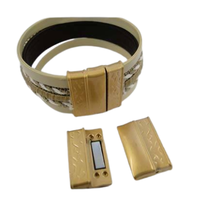 Zamak magnetic claps: MGL-278 22*3mm (Gold matt)