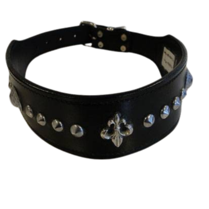 Dog Collars SE/DCB/16