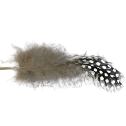 Feather-FR-02