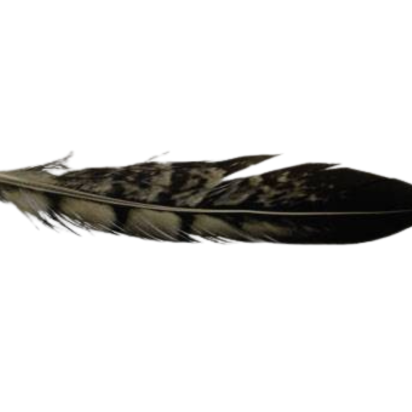 Feather-FR-04
