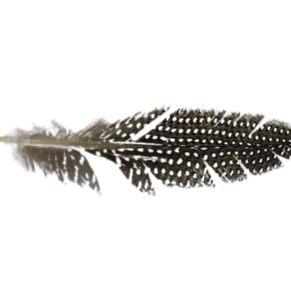 Feather-FR-05