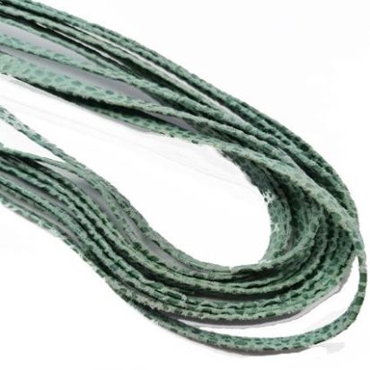 Flat Nappa Leather cords - 5mm - Raza Mint Paillettes Transparent