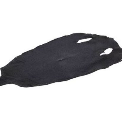 stingray-whole-skin-polished-ca21-x-21-cm