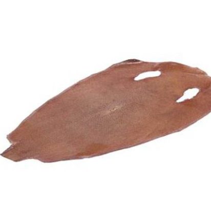 stingray-whole-skin-polished-ca39-x-21-cm