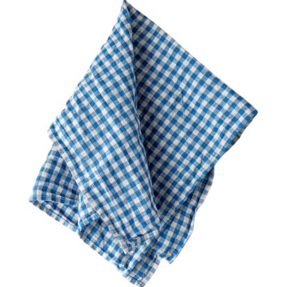 Blue Checkered Kitchen Towel