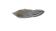 Feather-FR-07