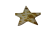 KC-Key Cord Star Shape 8cm cow white and yellow