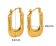 Stainless Steel Earnings - SSEAR86-PVD Gold plated